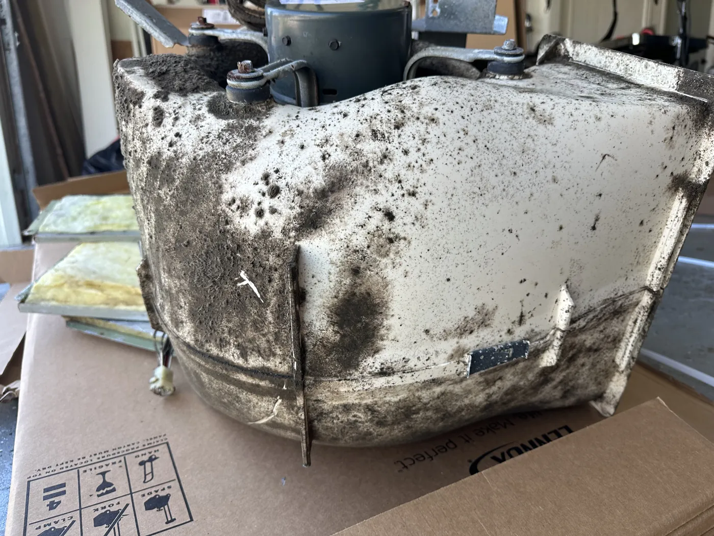 A blower housing spotted with microbial growth, pulled from a system during service